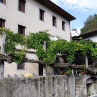 trattoria-posta