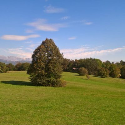 planino