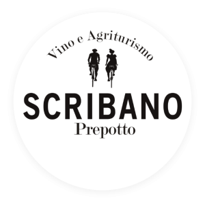 scribano-logo